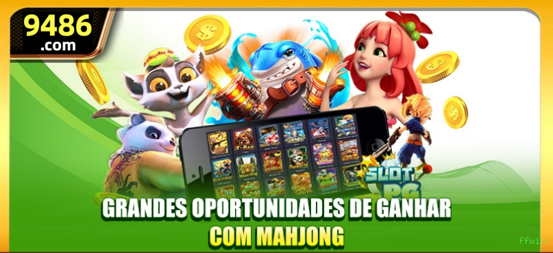 Guias de instalação da ffwin